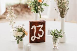 Plume Events - 36