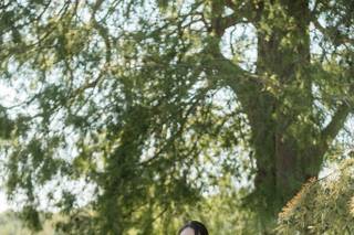 Lindsey Markle Photography - 8
