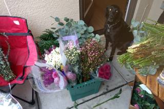 Garden Gate Flowers - 125