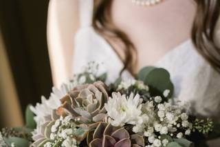 Succulently Urban - 6