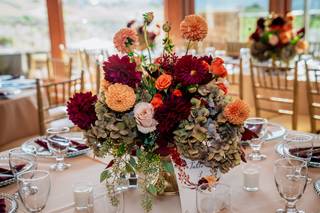 Begonia flowers - 6