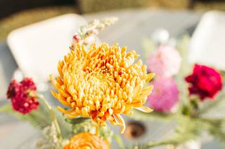 Honeysuckle Events - 28