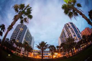 Wyndham Grand Clearwater Beach - 32