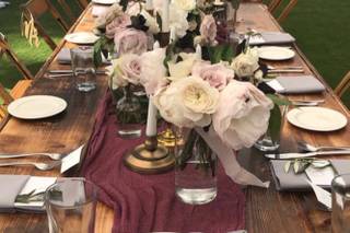 Stellaluna Events - 29