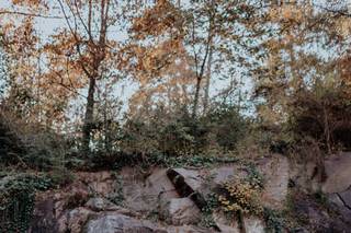 Flit Photography - 9