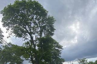 Squantum Association - 28