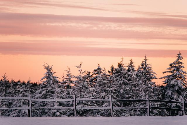 Snowshoe Mountain - 4