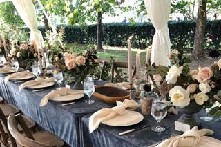 Plume Events - 26