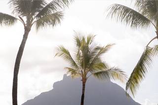 Bora Bora Photo & Video - 40