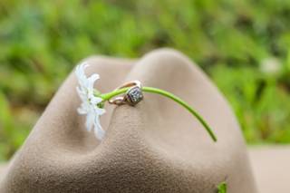 Ashley Craddock Photography - 25