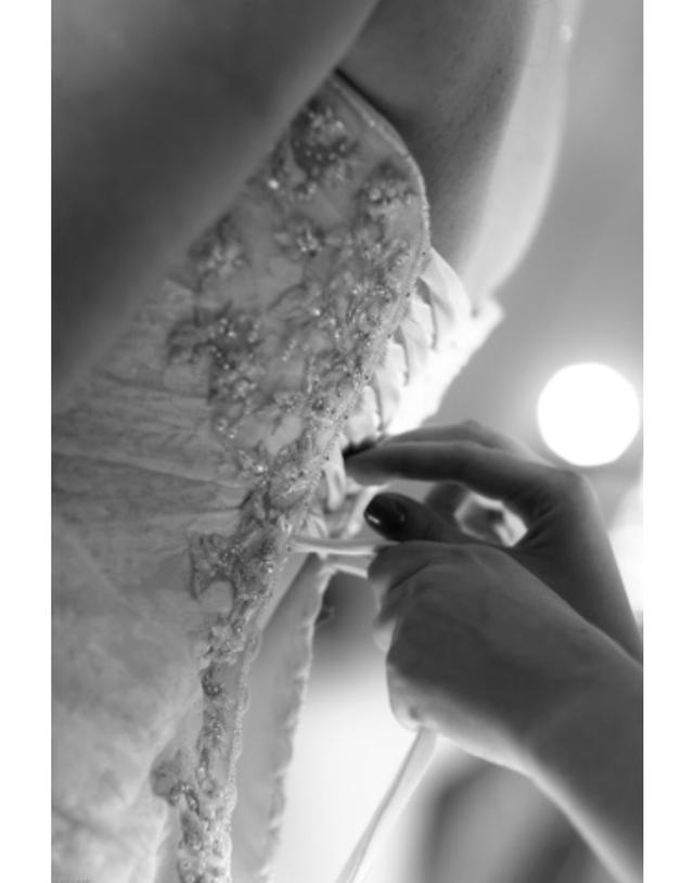 Shari Photography - 2