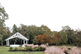 The Springs in Wallisville - 22