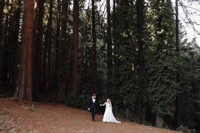 Two 4 Tea Wedding Films 2