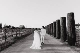 Viaggio Estate & Winery - 9