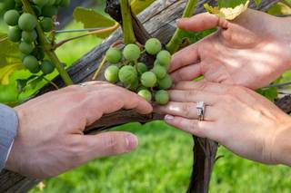 Birch Wood Vineyards by Wedgewood Weddings - 89
