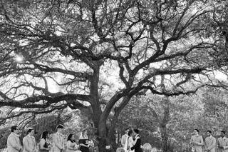 Rambling Rose Ranch - 10