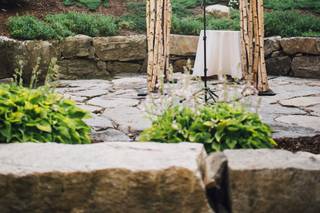 Damselfly Designs - 28