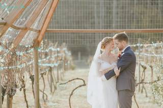 Running Hare Vineyard - 32