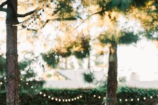 Jim Kennedy Photographers - 21