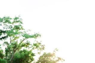 Ashlee Nicole Photography - 31