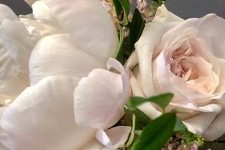 The Flower Petaler - 20