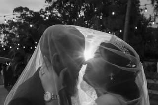 Photo Harp Weddings - 64