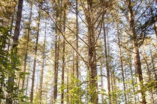 Angela Holm Photography - 8