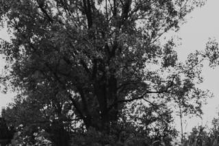 Earth Below Photo - 33