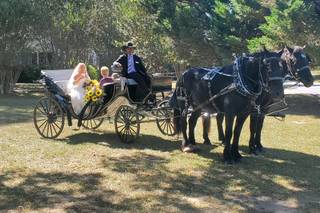 4 Seasons Carriage  Company - 4