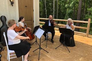 Triangle String Quartet - 4