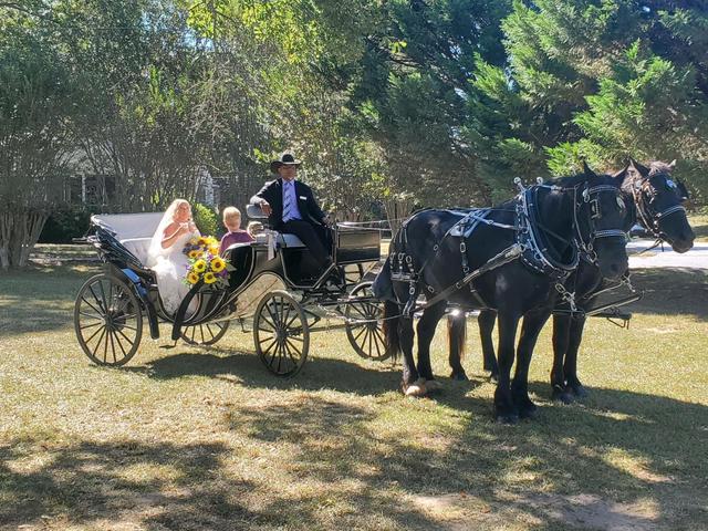 4 Seasons Carriage Company - 1