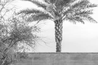 Suzanne Karp Photography - 7