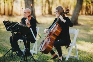 Sienna String Quartet - 15