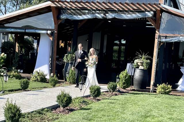 Harpor's Vineyard 2