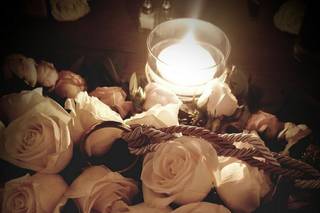Mini Rose Farm - 19
