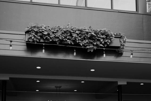 Hotel Covington 1