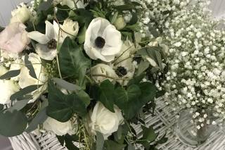 Beyond Floral - 104