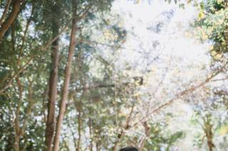 EC Bridal Glow LLC - 43