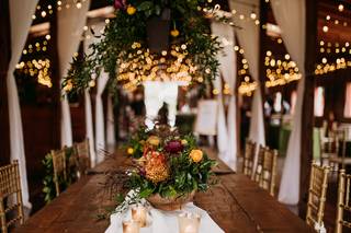 SDPhotographs - 8