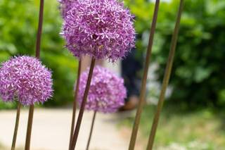 Andy Gagne Photography - 39