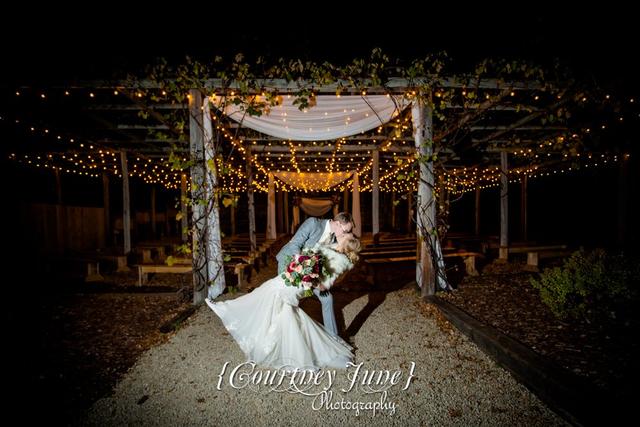 Courtney June Photography - 1
