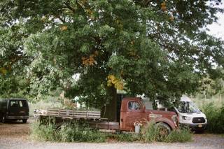 Blooming Hill Farm - 35