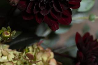 Matlack Florist - 71