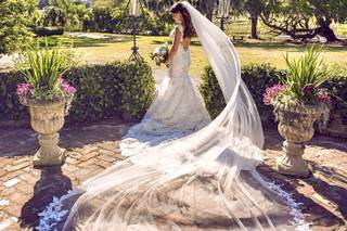 Charleston Wedding Planner - 25