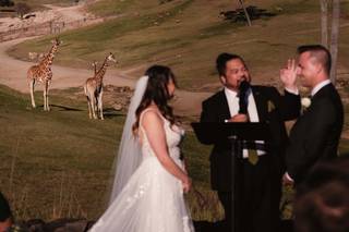 San Diego Zoo Wildlife Alliance - 91
