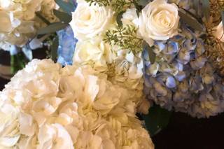 Lark Floral - 15