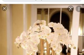 800ROSEBIG Wholesale Wedding Florist - 93