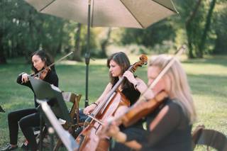 Queen City Ensemble - 8