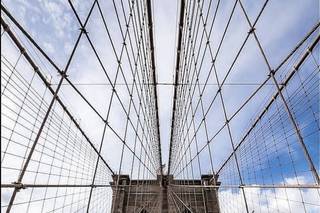 Steven Rosen Photography - 57