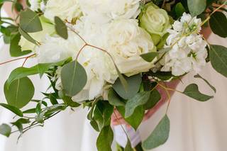 Lisa Mims Photography - 5